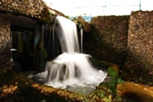 Doğa fotoğrafçılığı